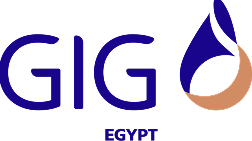 GIG Egypt